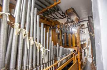 Organ Chambers